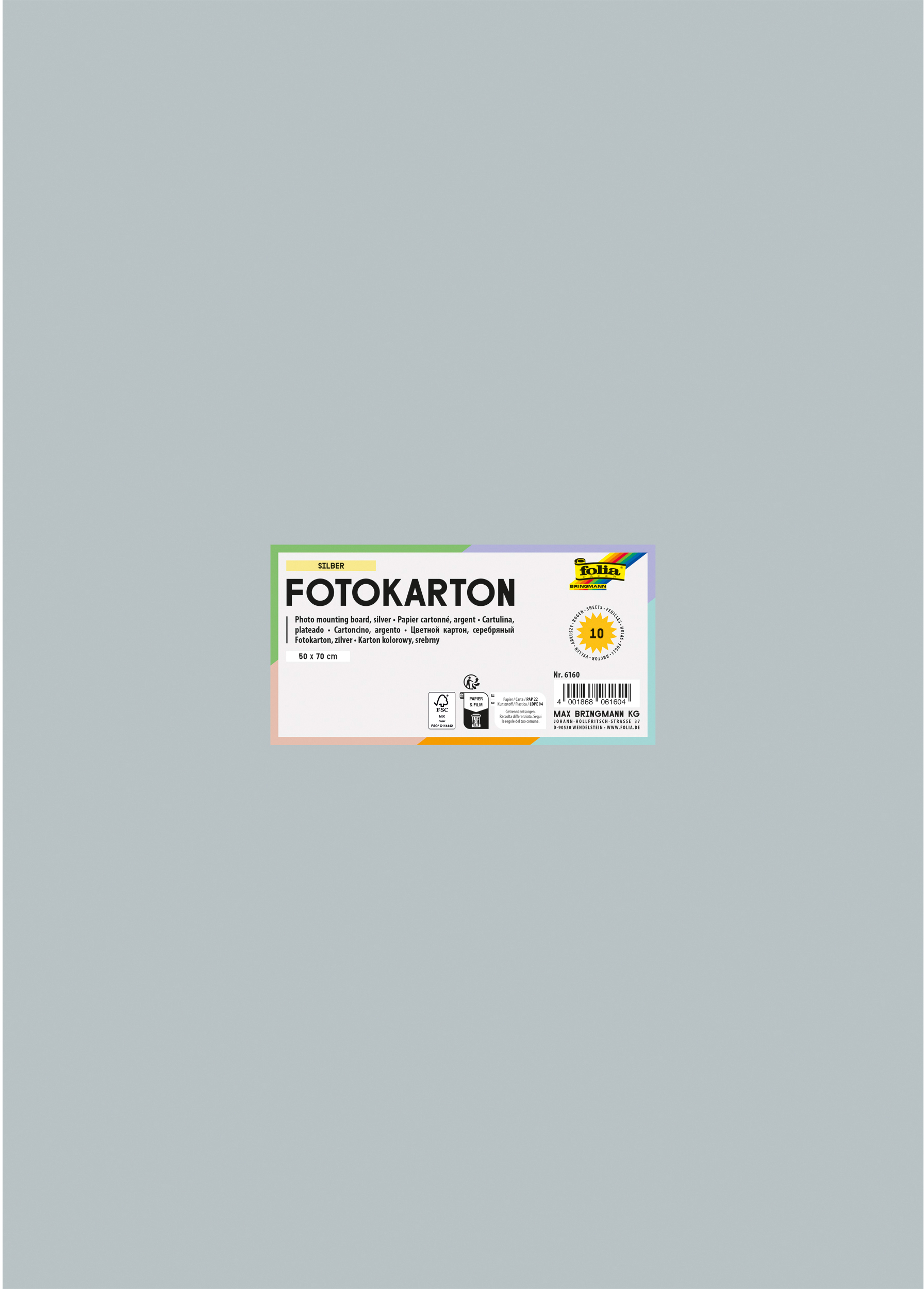 FOLIA Fotokarton 50x70cm 6160 300g, silber