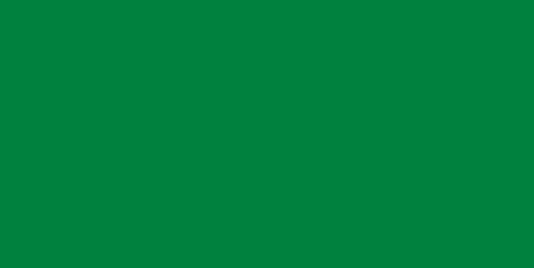 photo FRANKEN bande magnetique M802 02 1x100cm vert