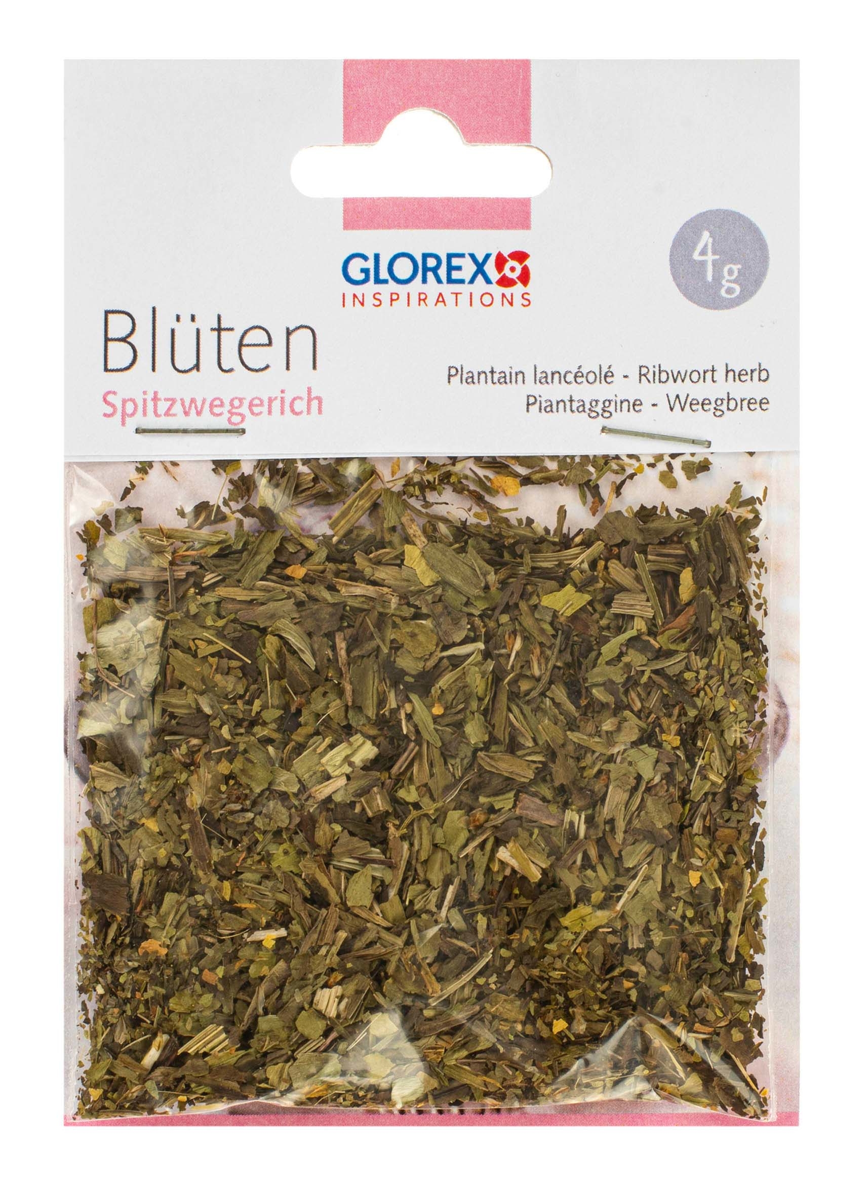 photo GLOREX Plantain lancéolé 4g 61601106 vert