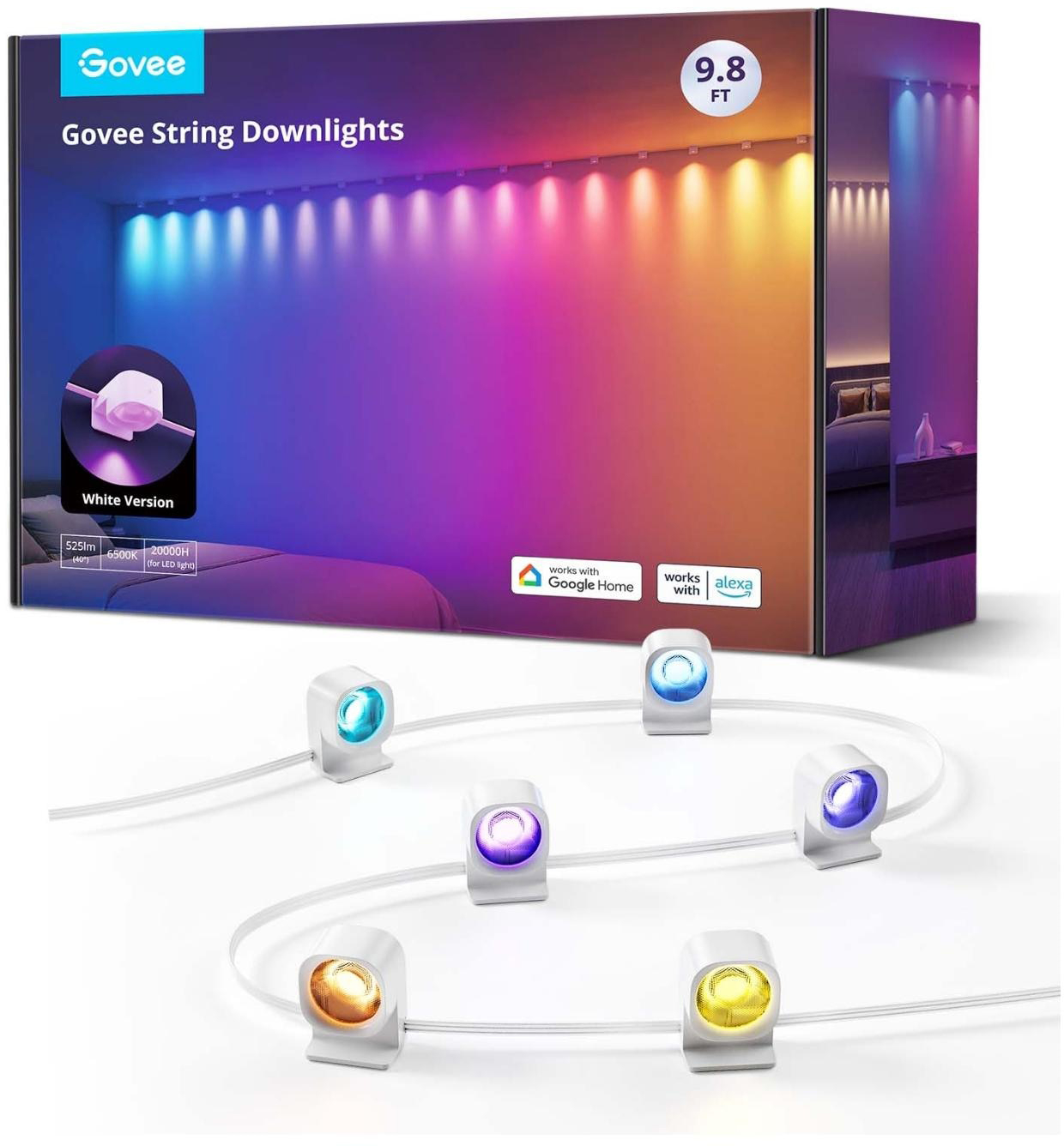 photo de l'article 695006