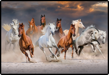 photo HANSA Sous-main 50x34cm 41-6000.082 Cheval
