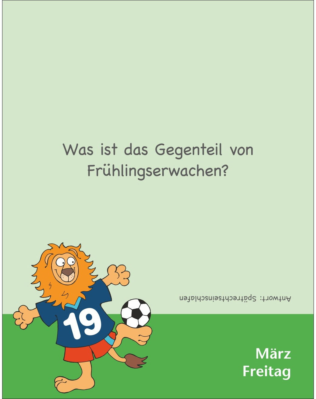 Ansicht 4