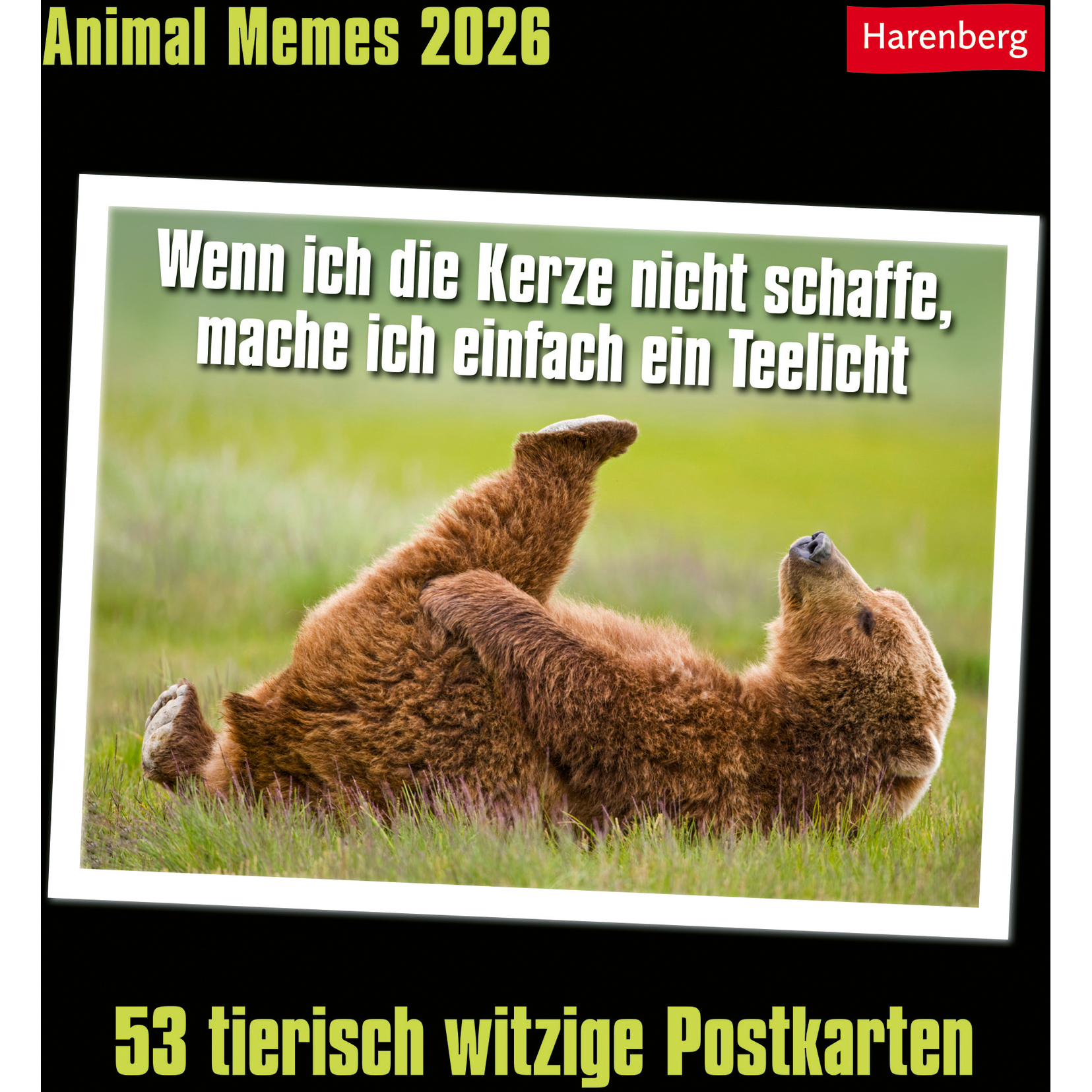 photo HARENBERG Cal. de cartes postales 2026 3310183+26 Animal Memes 16x17.5cm