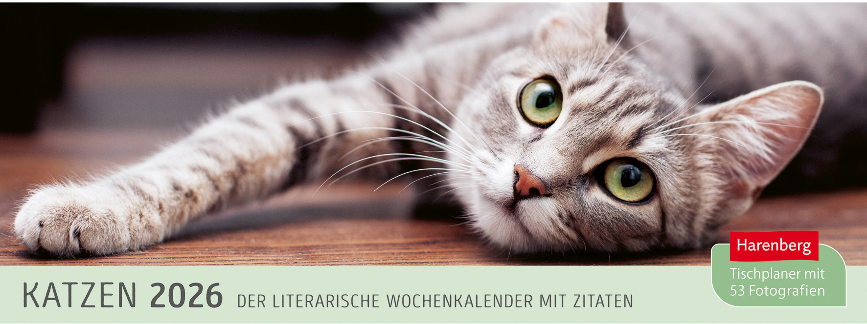 photo HARENBERG Calendrier de bureau 2026 3310235+26 Chats 29.9x11.1cm