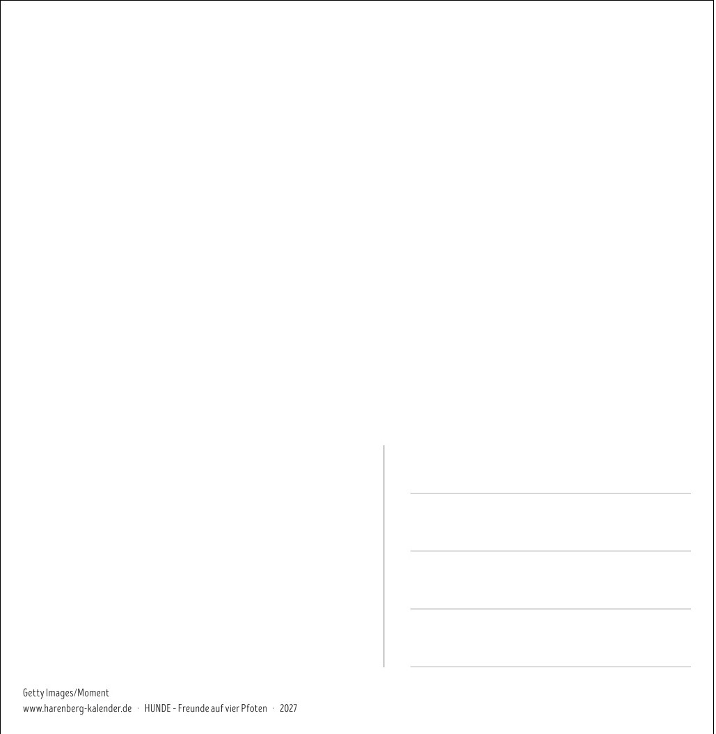 Ansicht 2