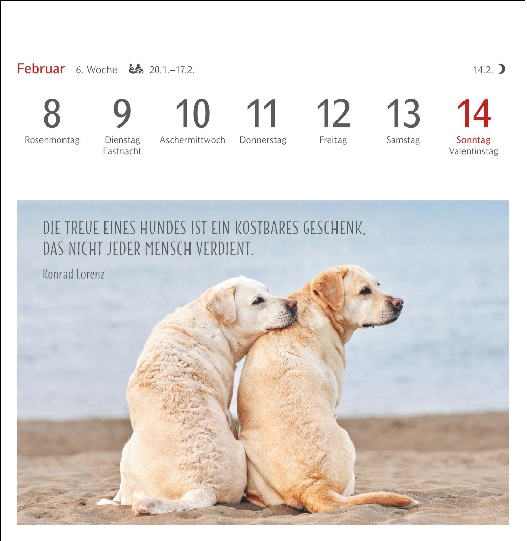 Ansicht 3