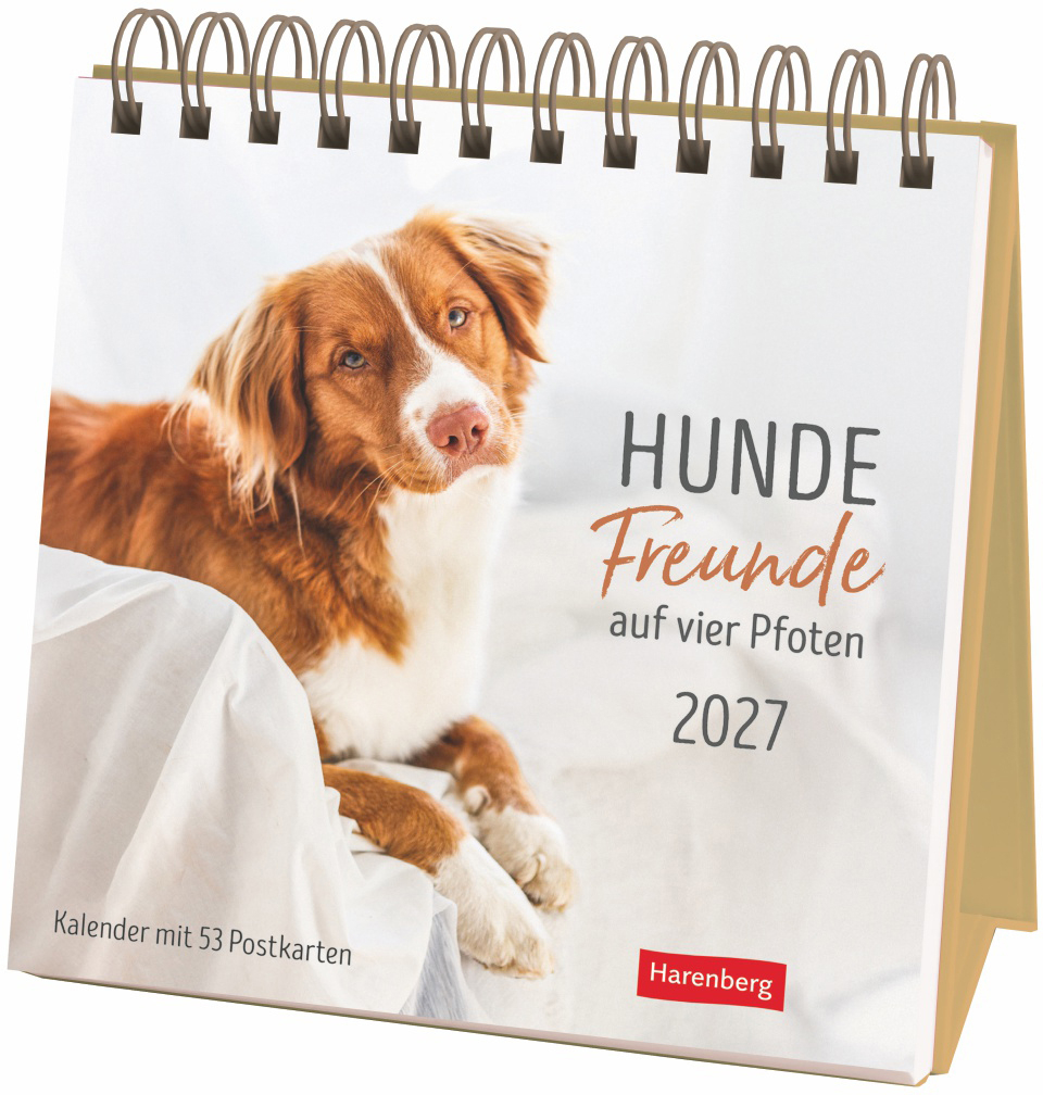 photo HARENBERG Cal. de cartes postales 2027 3310247+27 Chiens Premium 16x17.5cm
