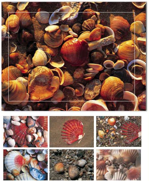 photo HASCHEMI Card Box 104 104 MUSCHELN