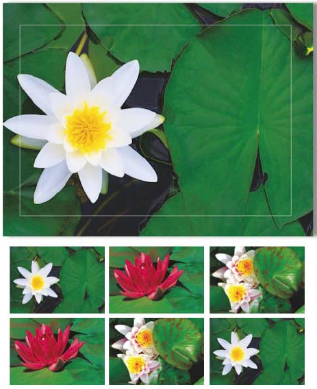 photo HASCHEMI Card Box 804 804 SEEROSEN