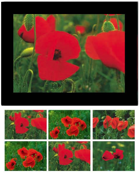 photo HASCHEMI Card Box 818 818 MOHNBLUMEN