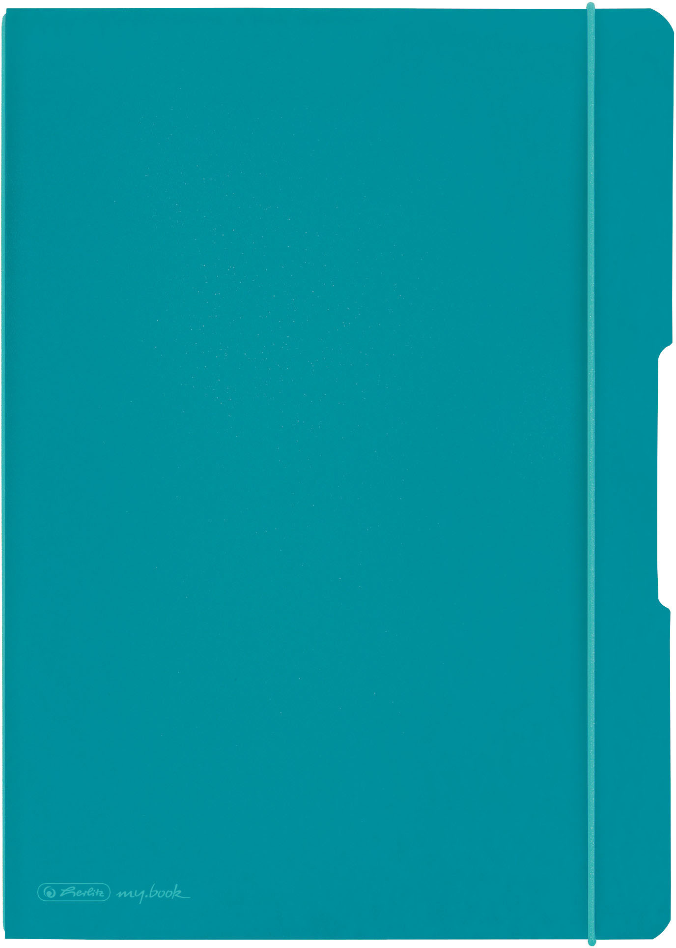 HERLITZ my.book flex A4 50015986 turquoise 40 flls., quadr/lign