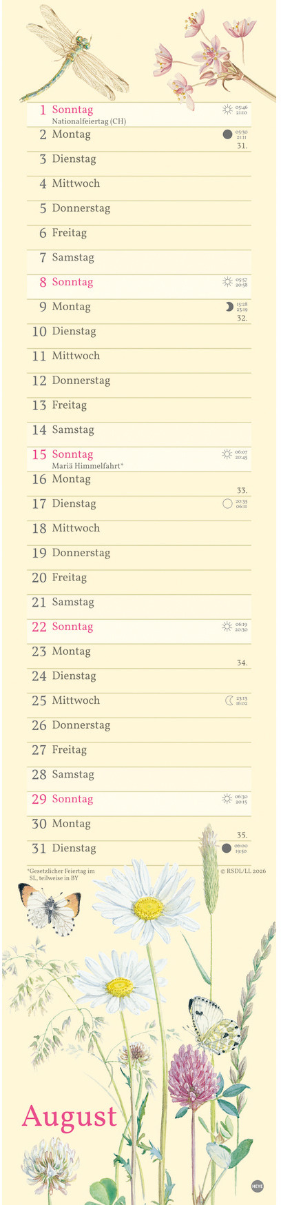 Ansicht 4