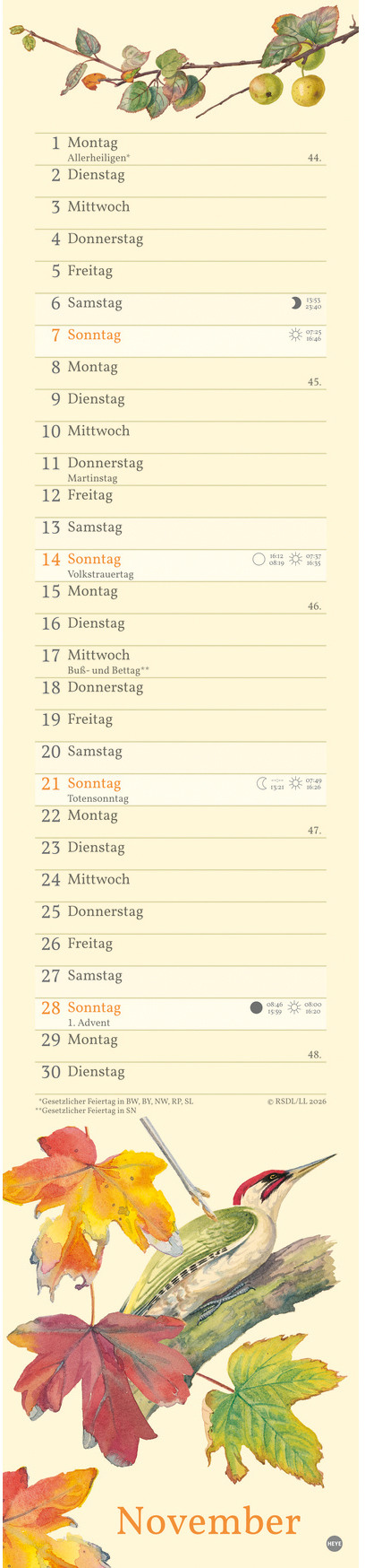 Ansicht 5