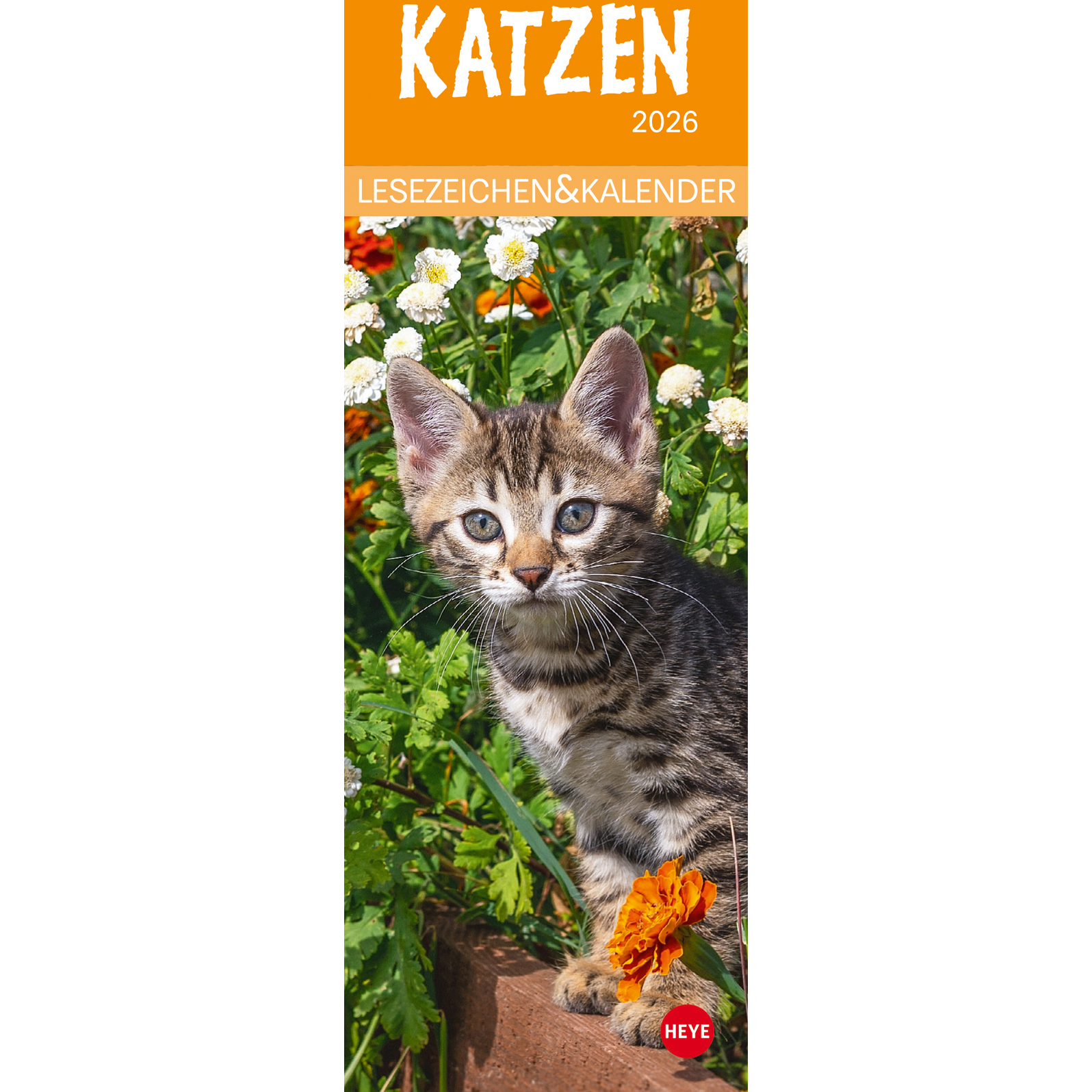 photo HEYE Calendrier Chats 2026 21474+26 AL 6x18cm