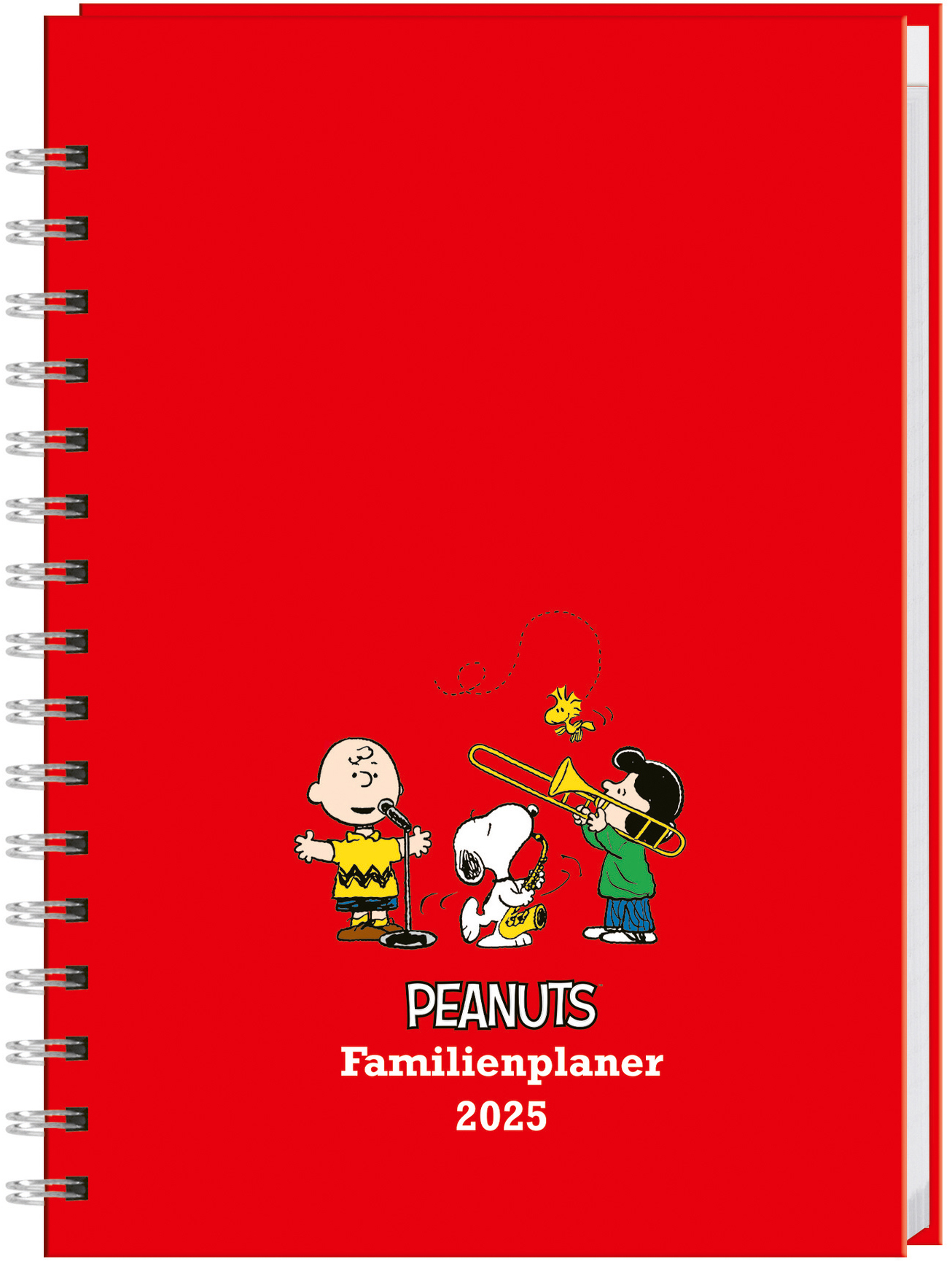 HEYE Familienagenda Peanuts 2025 21545+25 DE 15.2x23.2cm