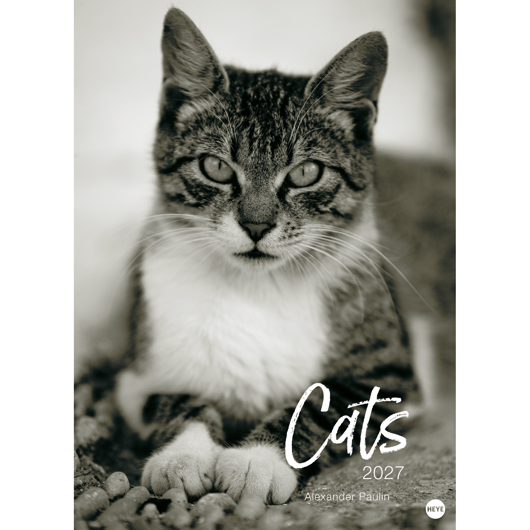 photo HEYE Calendrier 2027 22848+27 Wegler Cats Edition AL 49x68cm