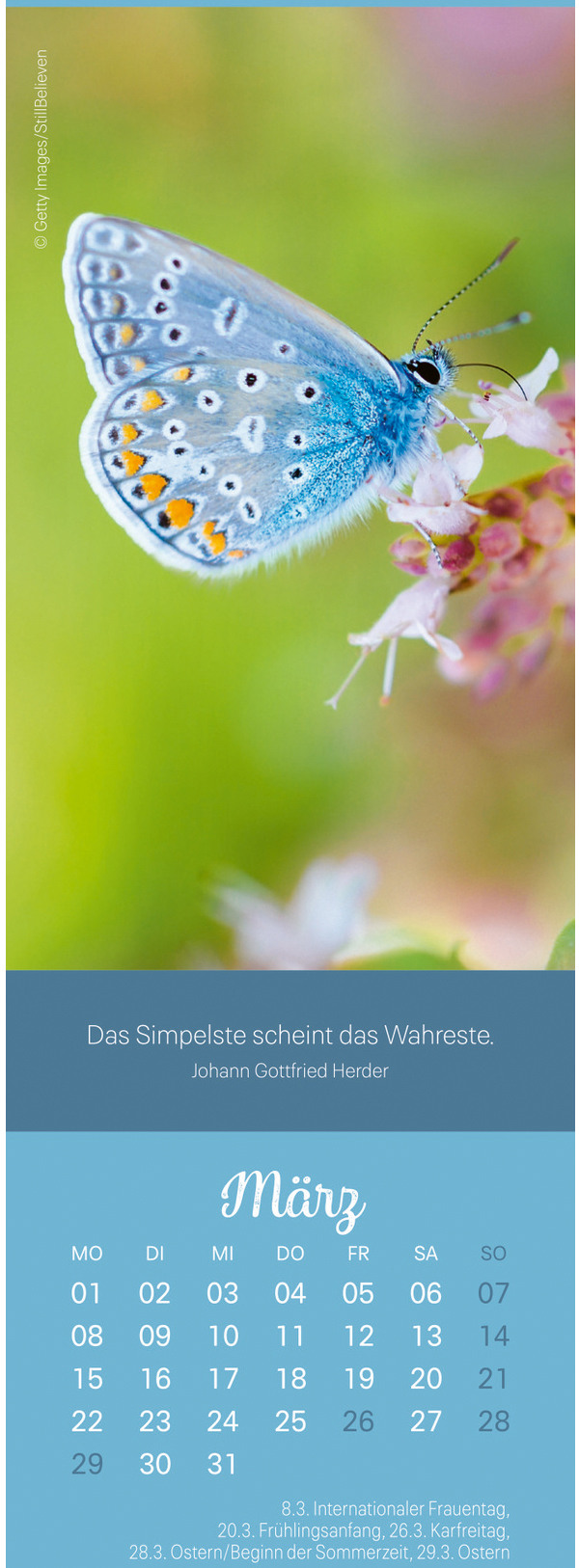 Ansicht 3
