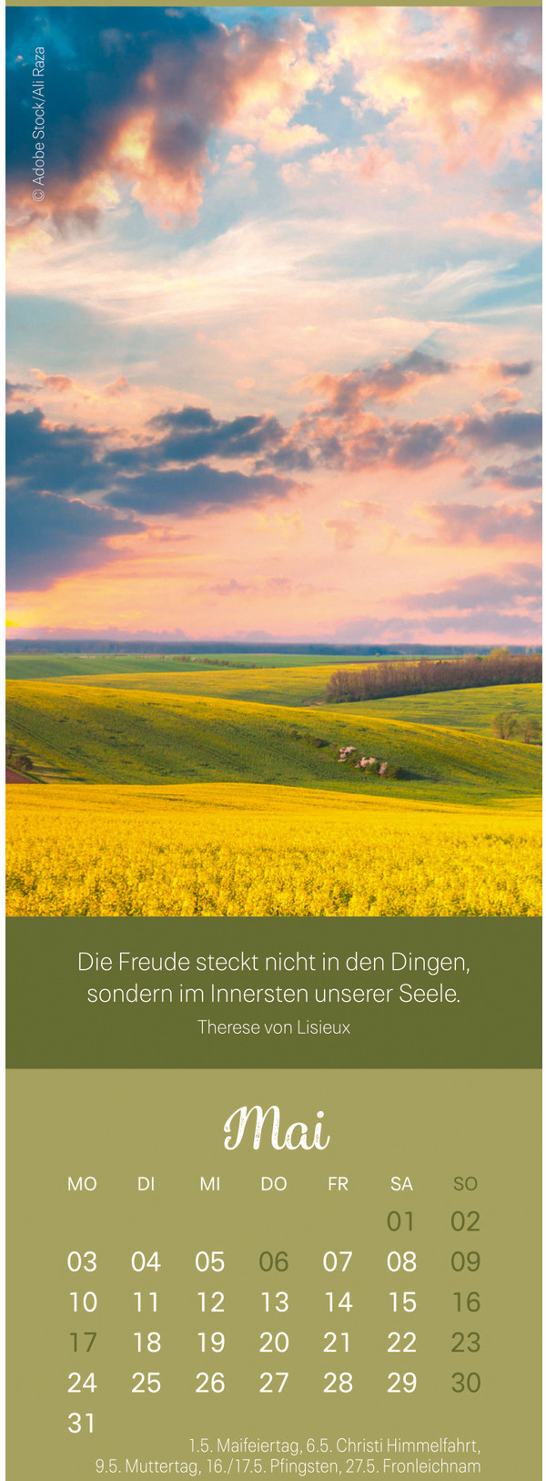 Ansicht 4