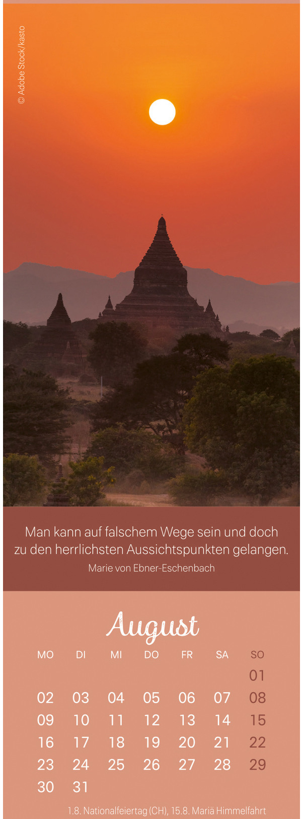 Ansicht 5