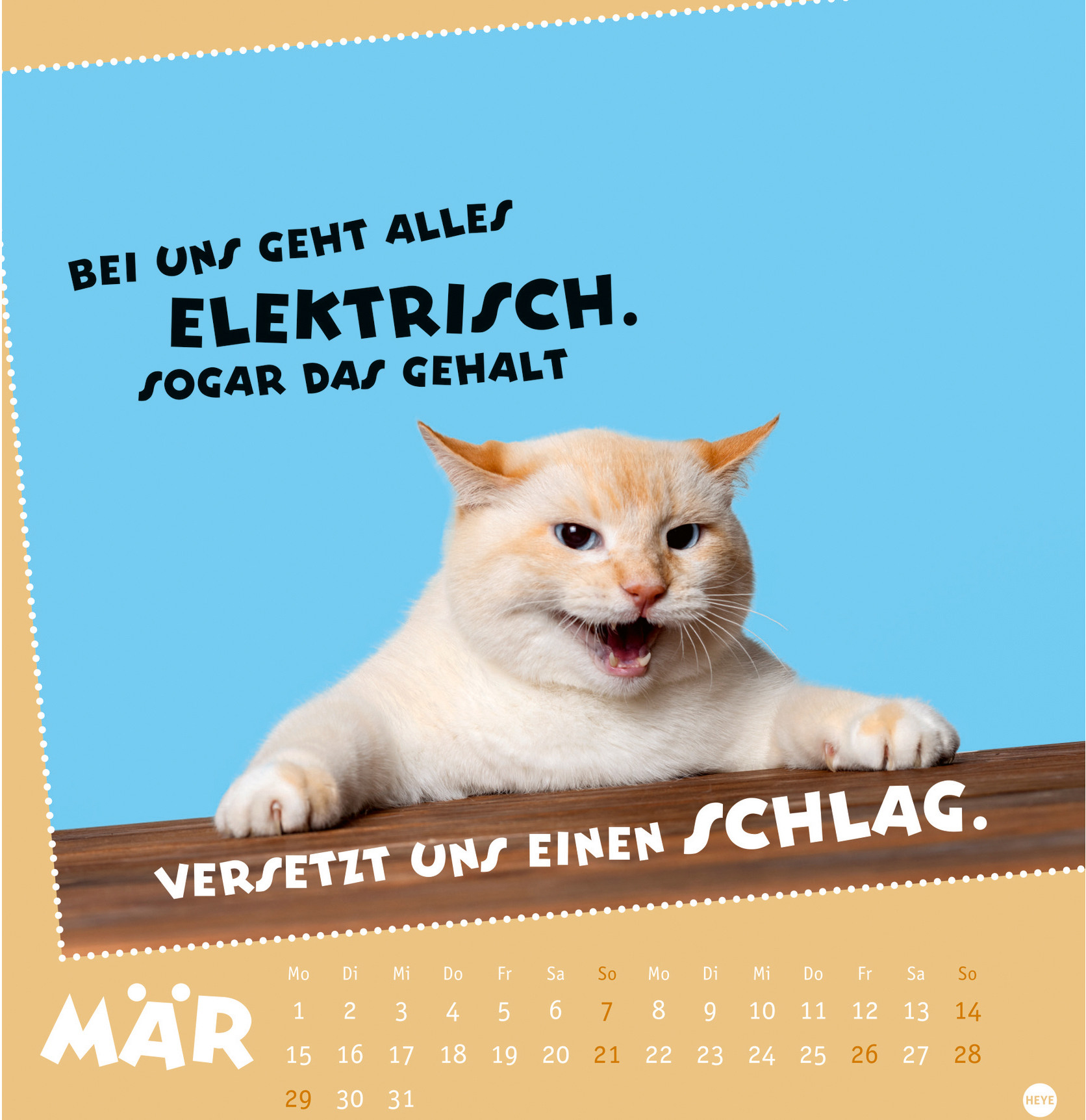 Ansicht 4