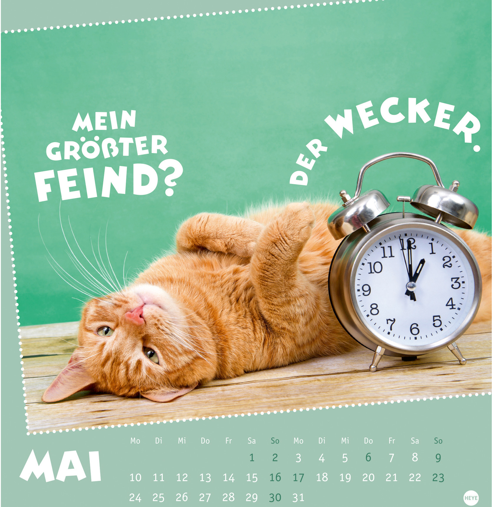 Ansicht 6