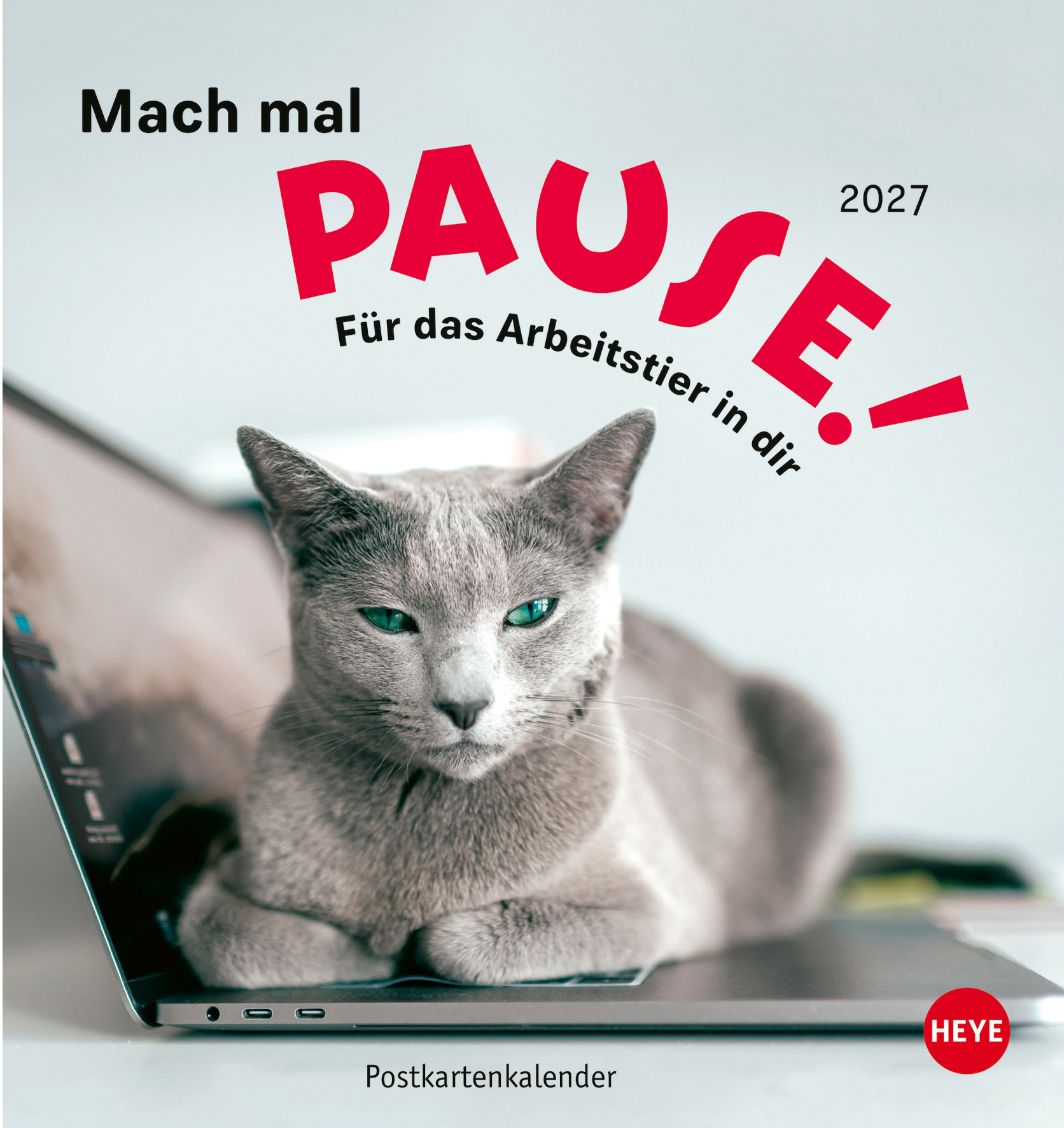 photo de l'article 440481