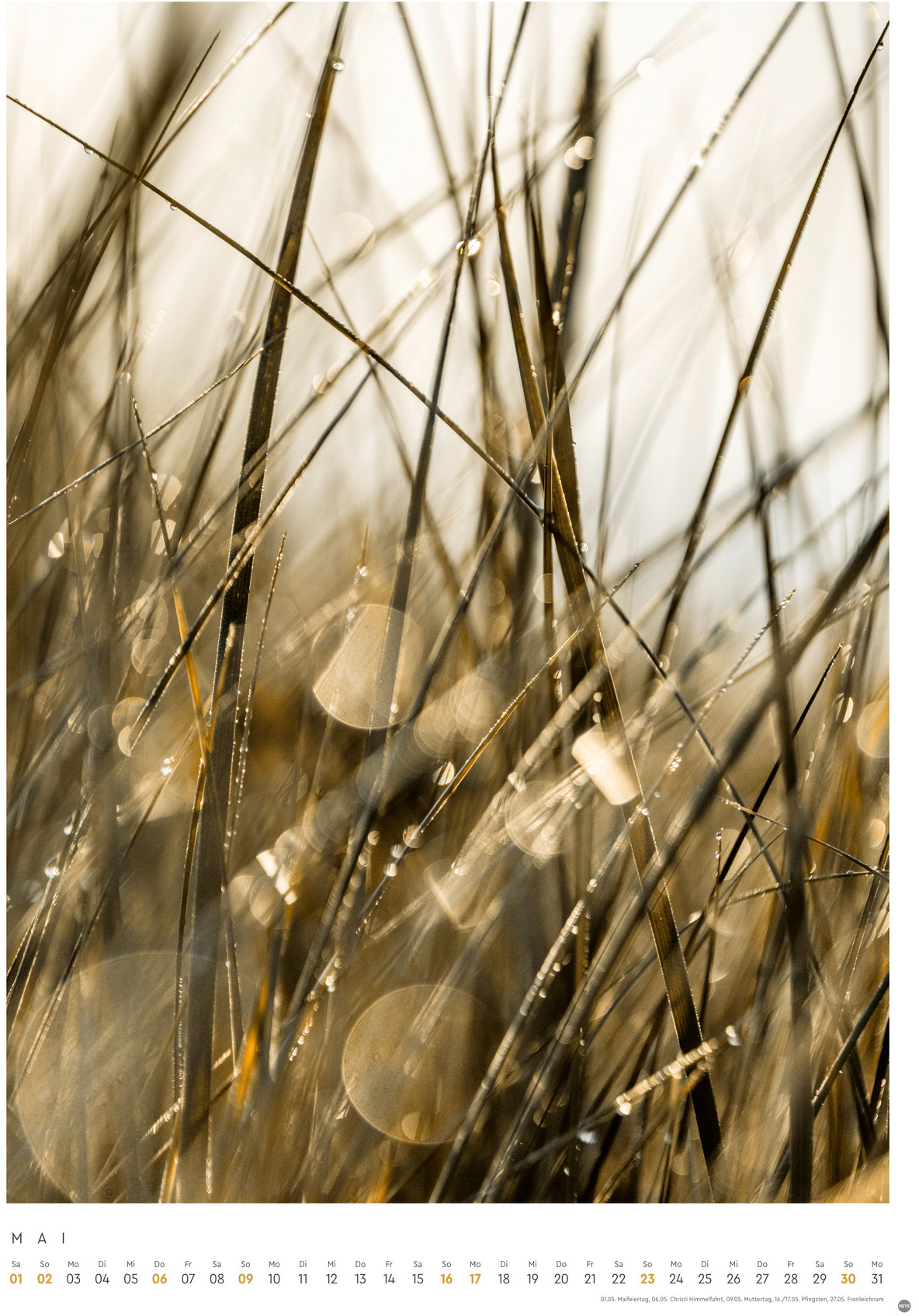 Ansicht 3