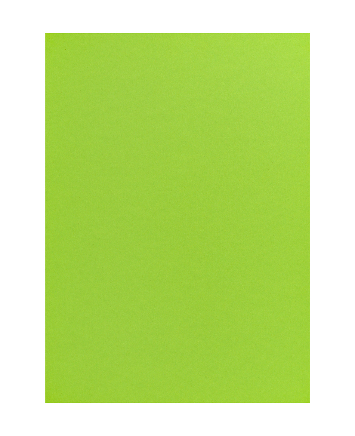 photo I AM CREATIVE Carton photo 50x70cm 2902498318 270g, vert clair