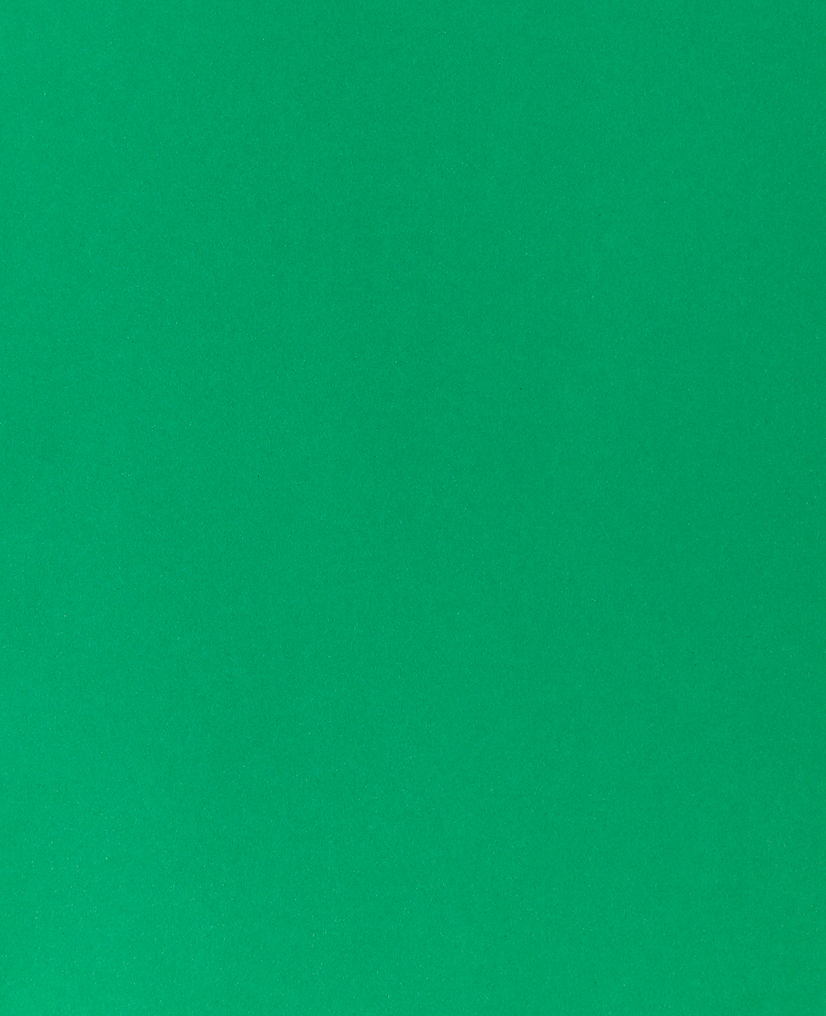 photo I AM CREATIVE Carton photo 50x70cm 2902498327 300g, vert sapin