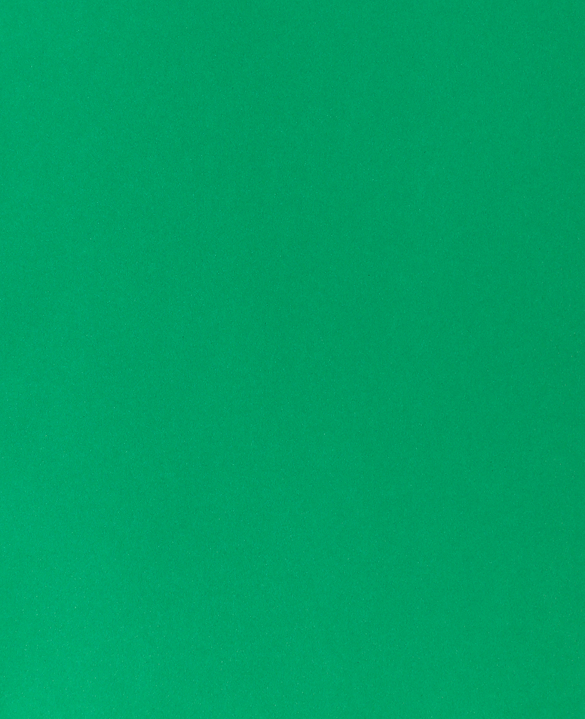 photo I AM CREATIVE Carton photo A4 2903018327 270g, vert sapin