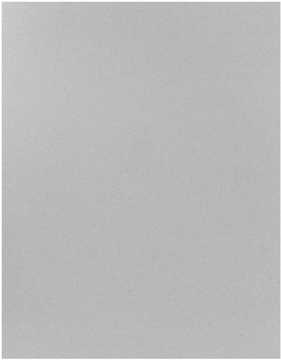 photo I AM CREATIVE Carton gris 50x70cm 81000.01 1.0mm