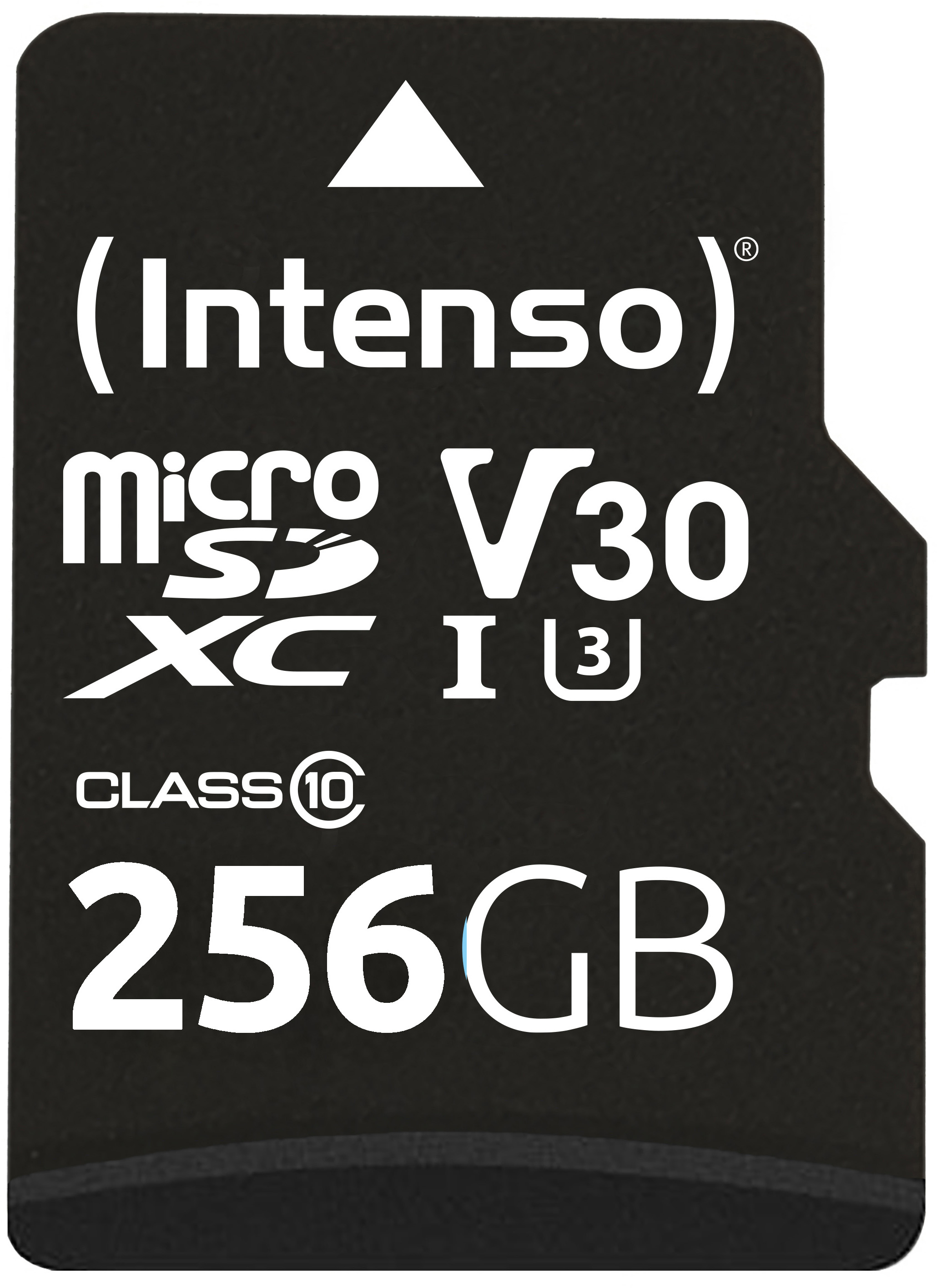 photo de l'article 310513