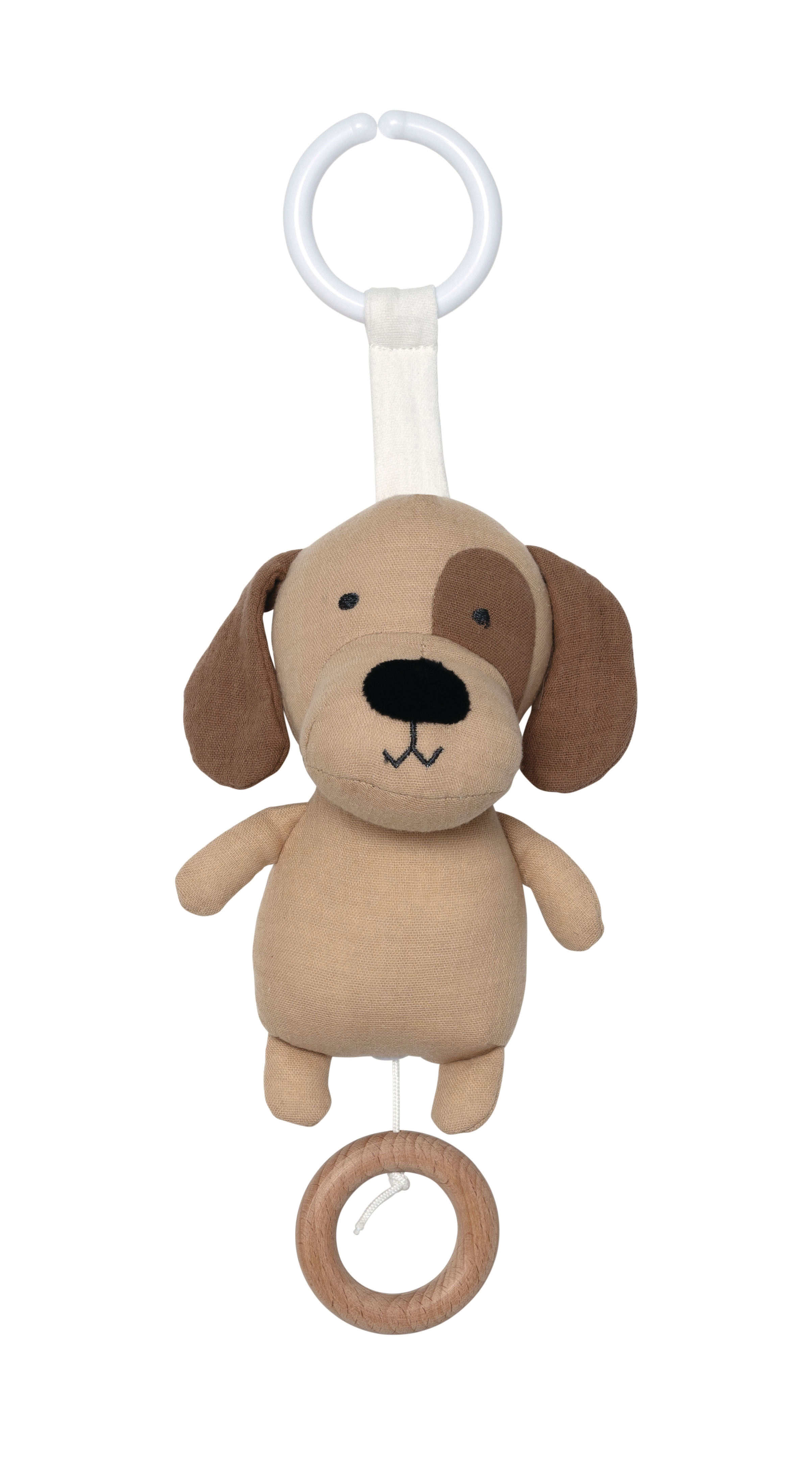 photo de l'article 408513