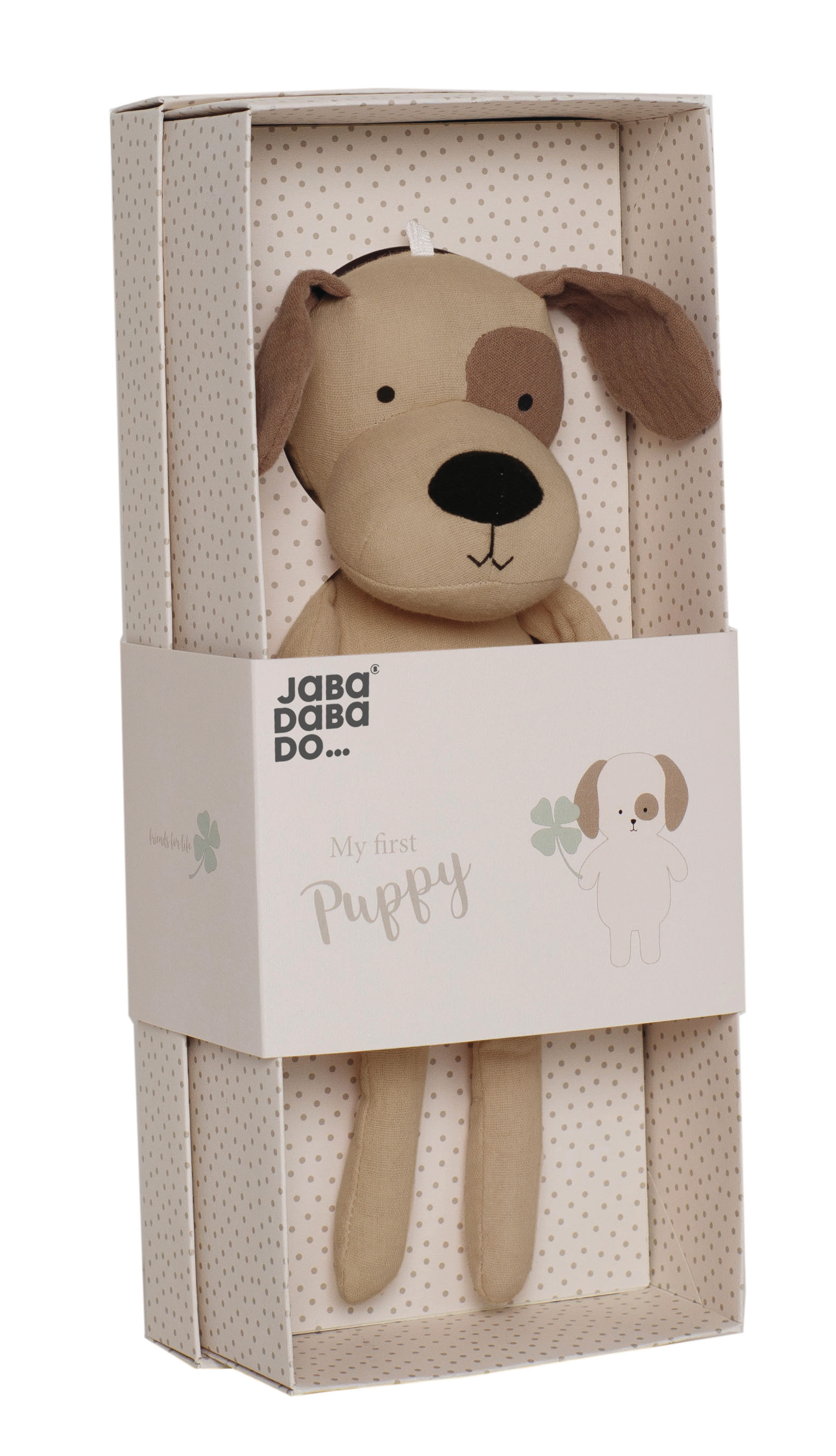 photo de l'article 408519