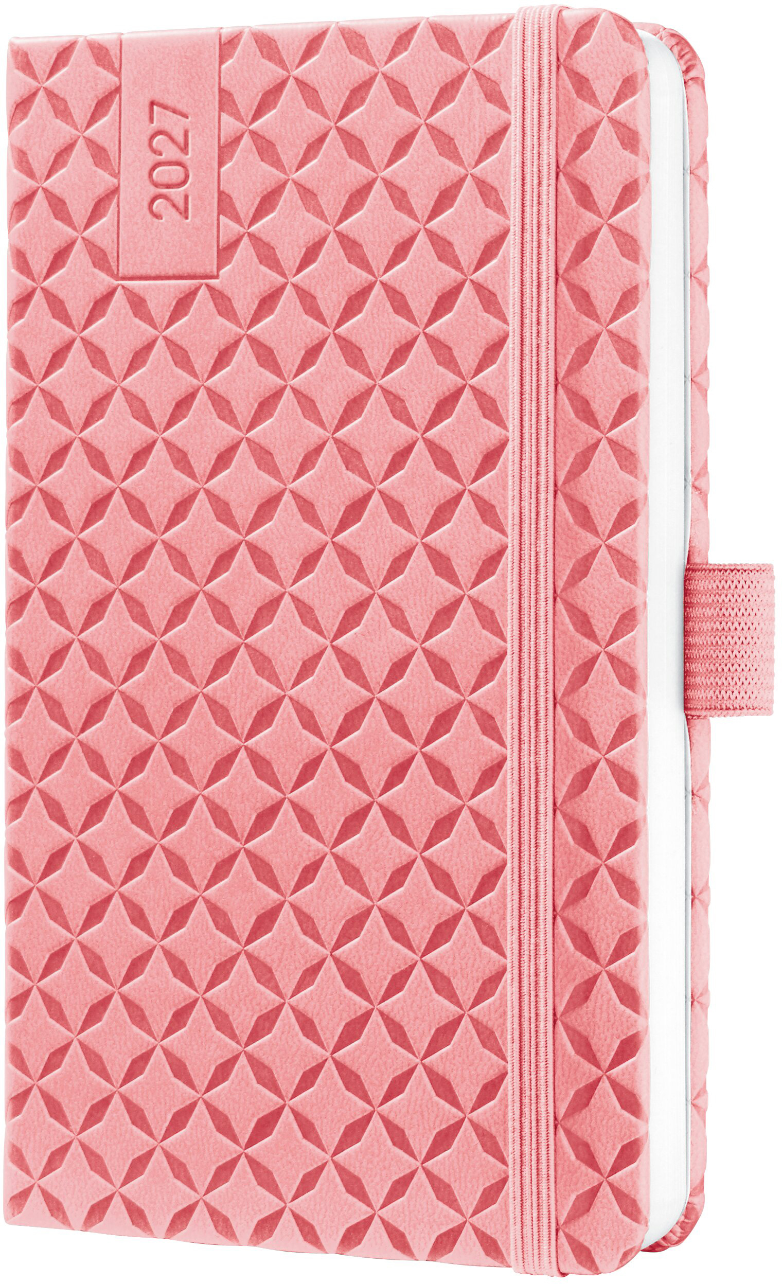 photo de l'article 494434