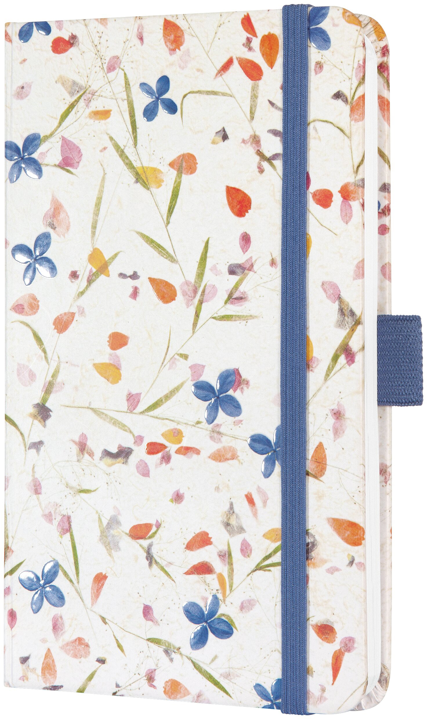 photo de l'article 496177