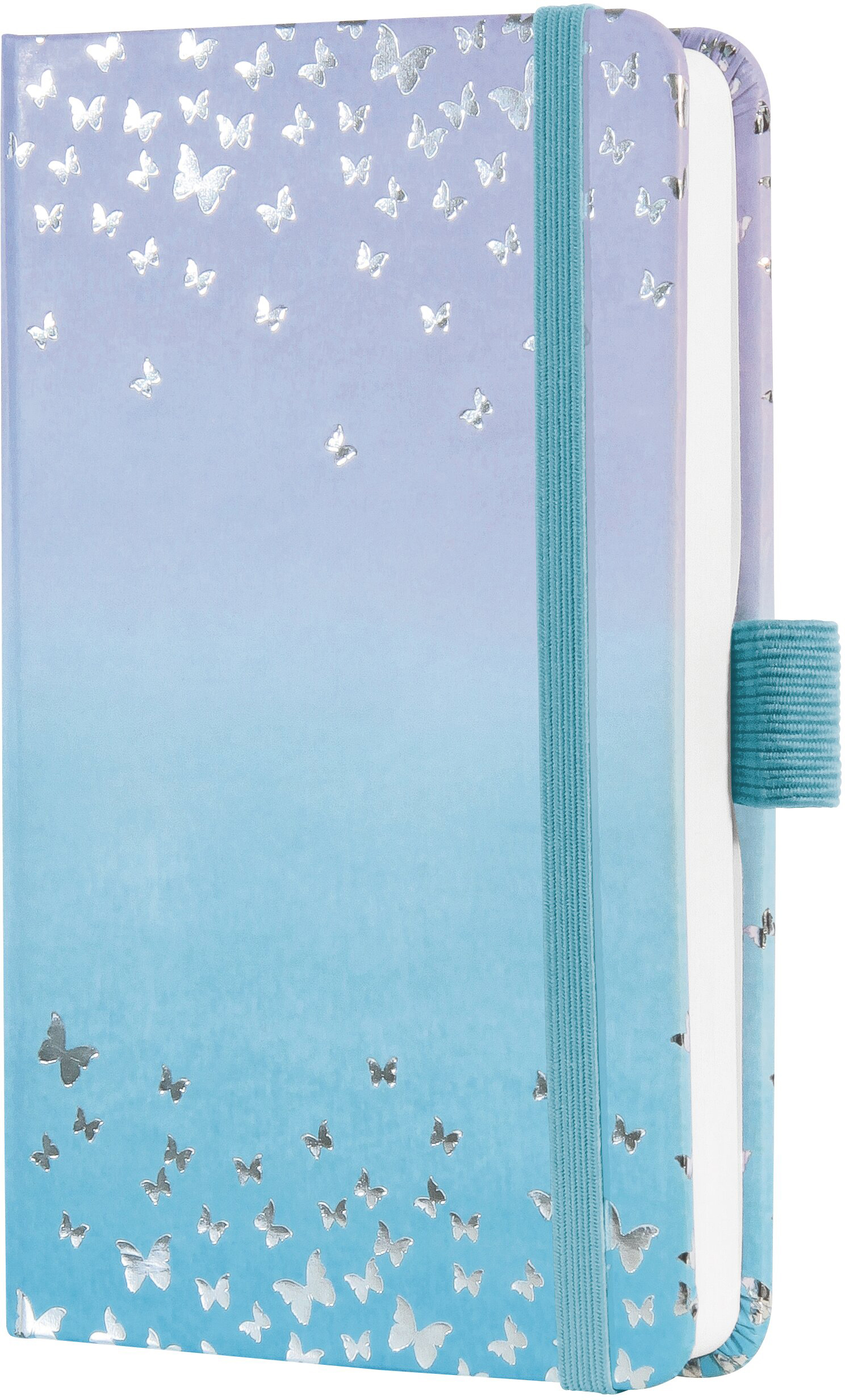 photo de l'article 496198