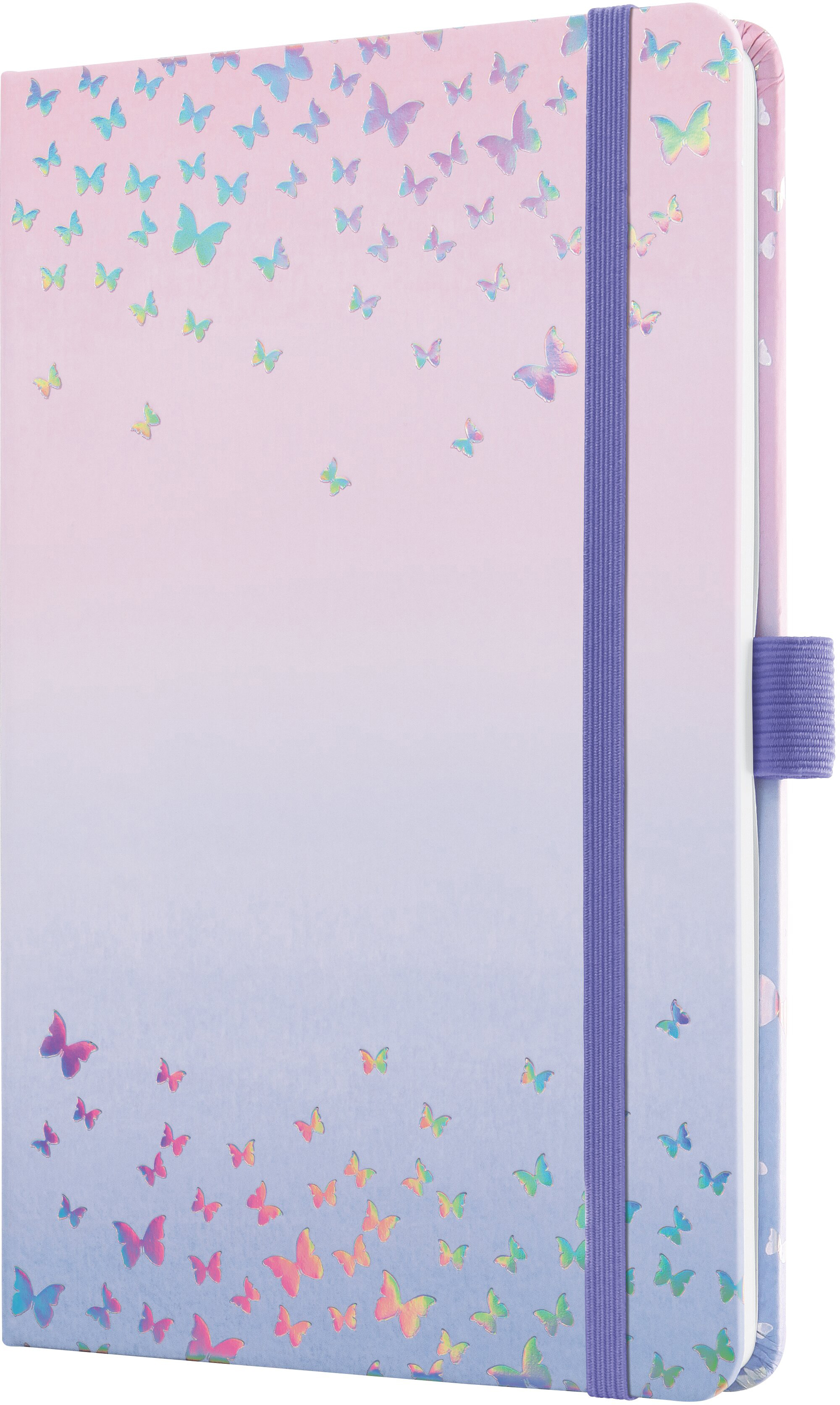 photo de l'article 496199