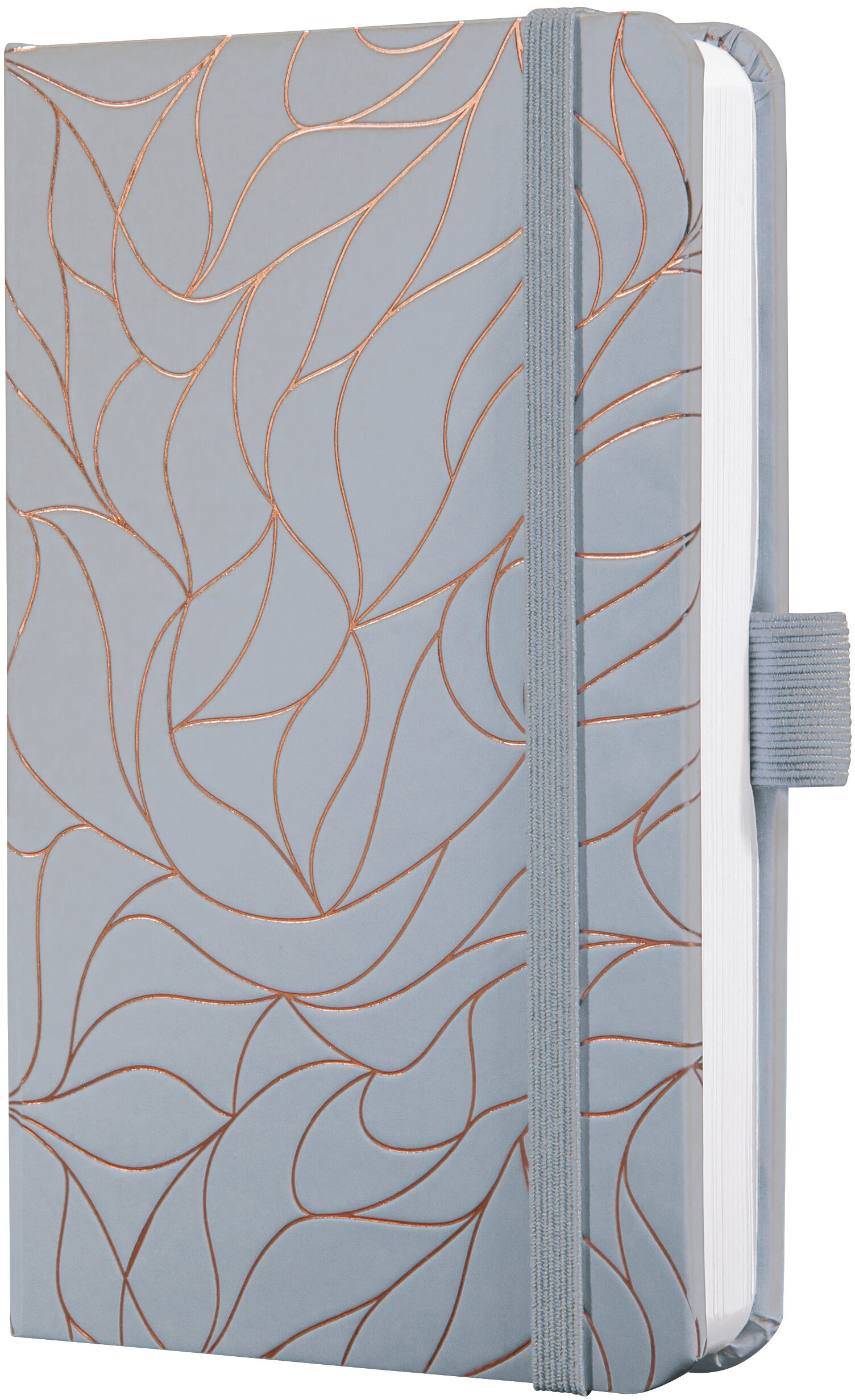 photo de l'article 734867