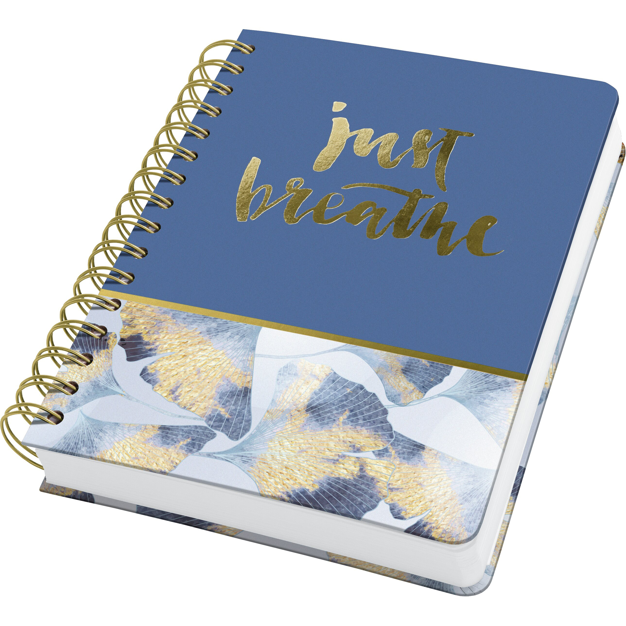 photo JOLIE Carnet Sprial A5 JN627 Ginkgo Harmony dot 240 p.