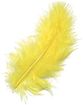 photo KNORR PRANDELL Plumes marabout 10cm 216619053 jaune 15 pcs.