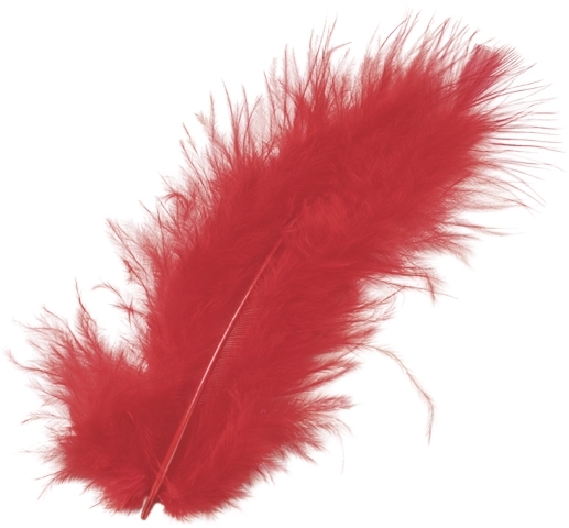 photo KNORR PRANDELL Plumes marabout 10cm 216619150 rouge 15 pcs.