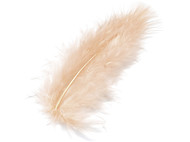 photo KNORR PRANDELL Plumes marabout 10cm 216619207 apricot 15 pcs.