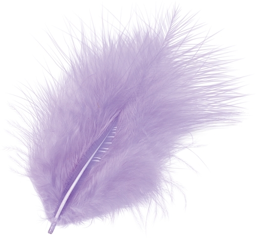 photo KNORR PRANDELL Plumes marabout 10cm 216619304 lilas 15 pcs.
