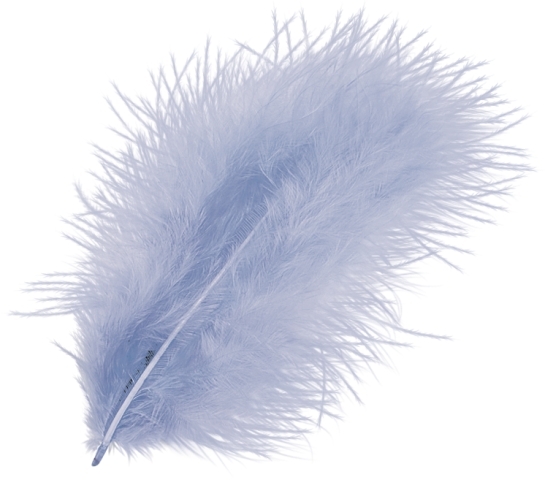 photo de l'article 468744