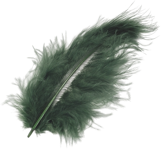 photo KNORR PRANDELL Plumes marabout 10cm 216619479 vert 15 pcs.