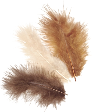 photo de l'article 468751