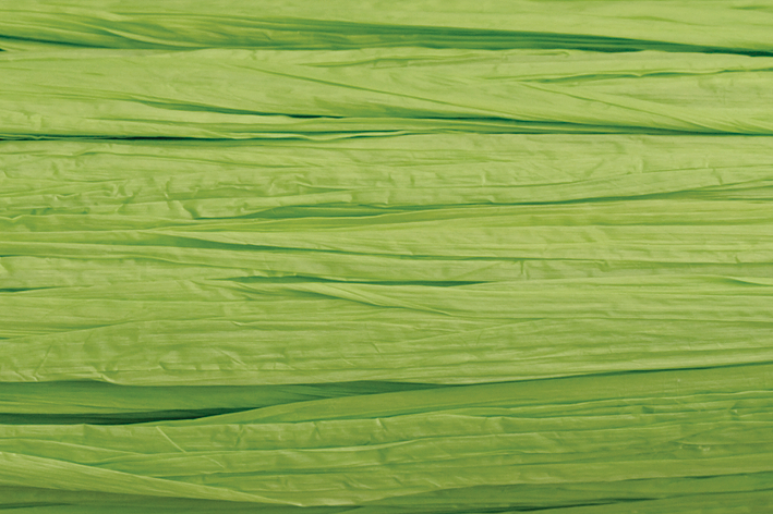 photo KNORR PRANDELL Rabane 30m 218533042 vert pâle mat