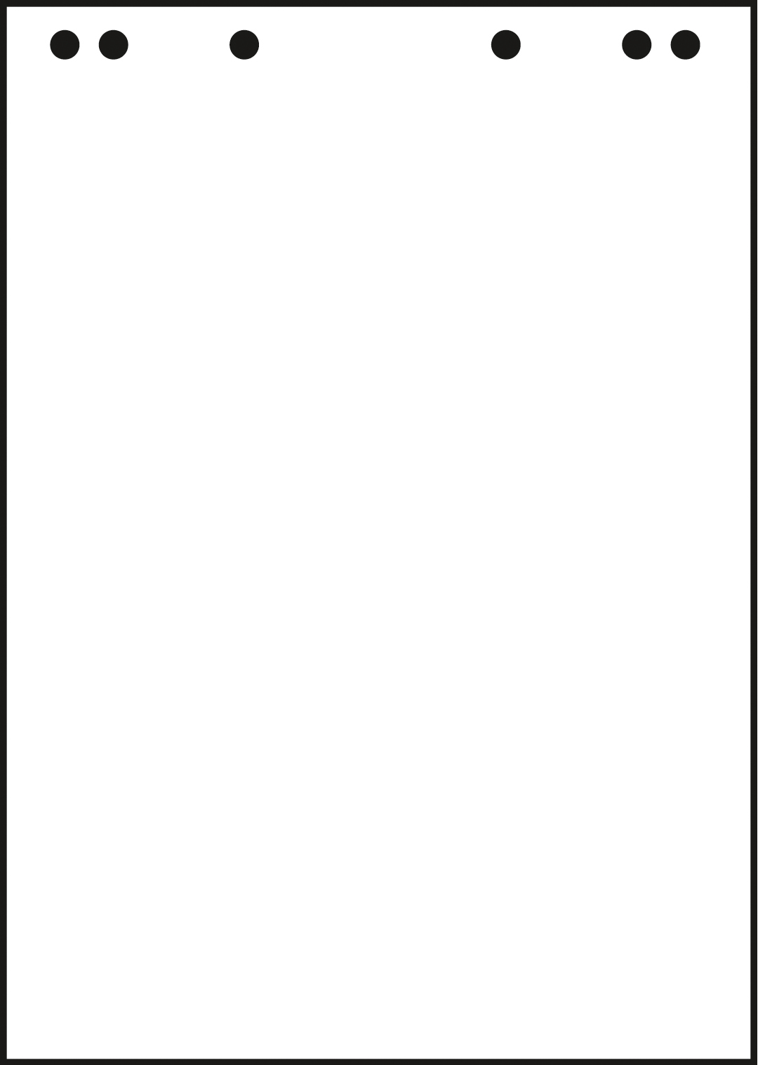 photo LANDRE Papier Flipchart 65x98cm 30000267 80g, en blanc 5x20 feuilles
