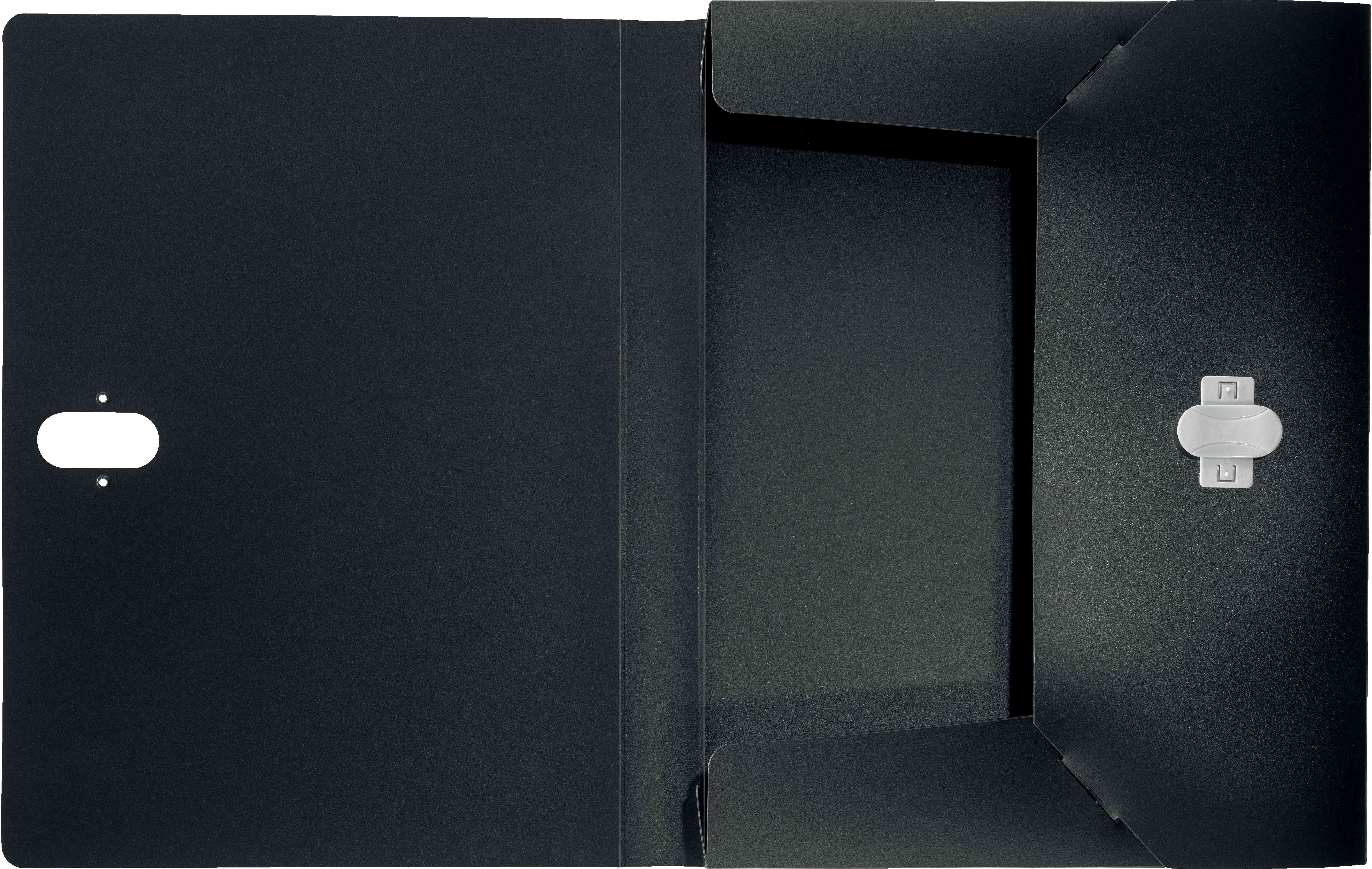 LEITZ Boîte de rangement Recycle A4 4623-00-95 noir